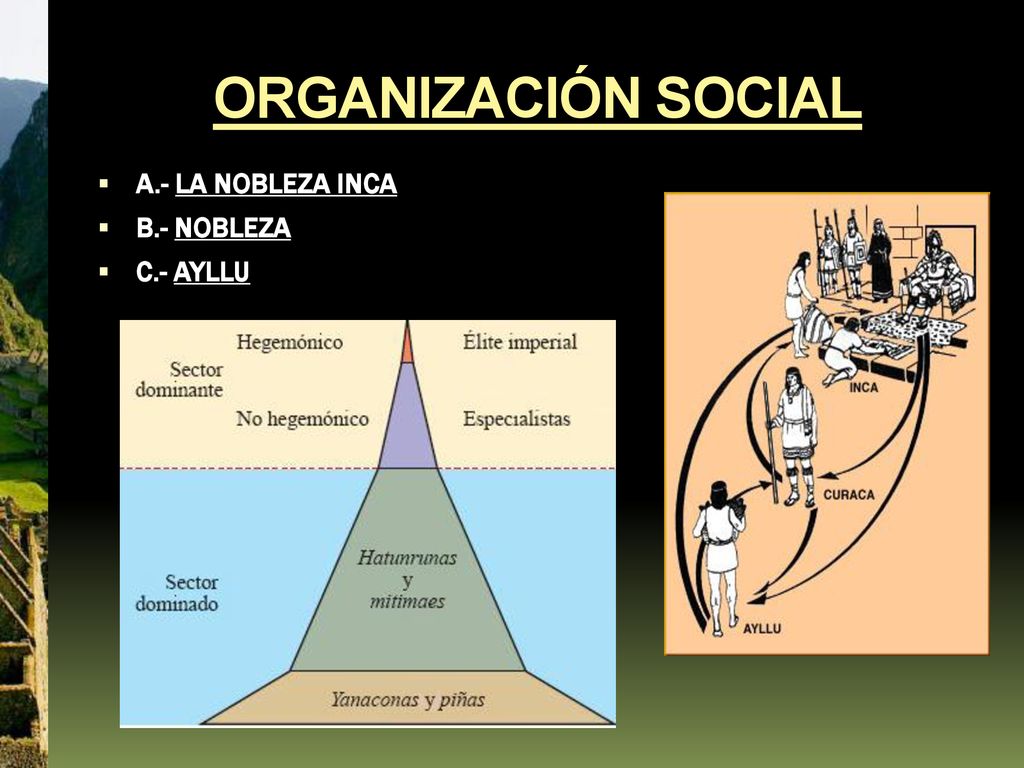 ORGANIZACIÓN SOCIAL A.- LA NOBLEZA INCA B.- NOBLEZA C.- AYLLU