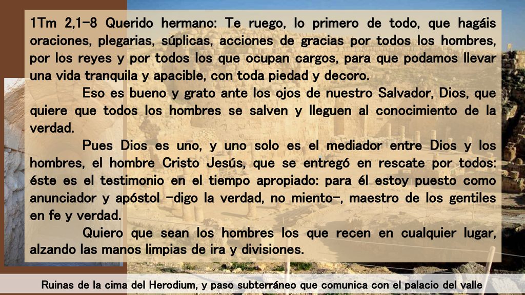 1Tm 2,1-8 Querido hermano: Te ruego, lo primero de todo, que hagáis oraciones, plegarias, súplicas, acciones de gracias por todos los hombres, por los reyes y por todos los que ocupan cargos, para que podamos llevar una vida tranquila y apacible, con toda piedad y decoro.