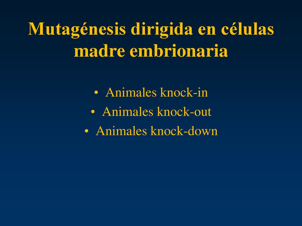 Mutagénesis dirigida en células madre embrionaria