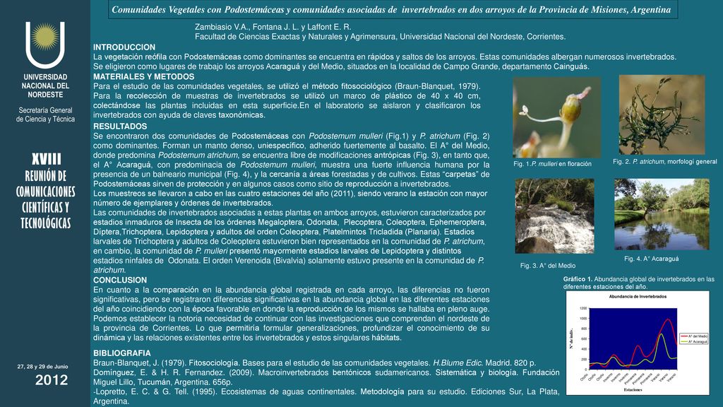 Comunidades Vegetales con Podostemáceas y comunidades asociadas de invertebrados en dos arroyos de la Provincia de Misiones, Argentina