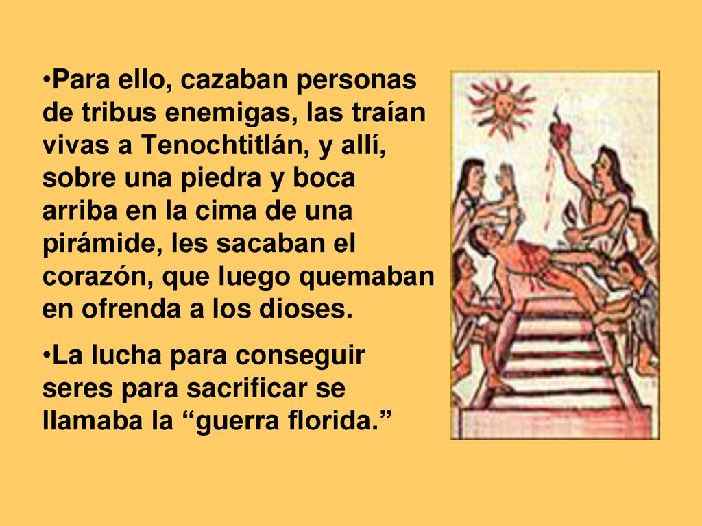 Para ello, cazaban personas de tribus enemigas, las traían vivas a Tenochtitlán, y allí, sobre una piedra y boca arriba en la cima de una pirámide, les sacaban el corazón, que luego quemaban en ofrenda a los dioses.