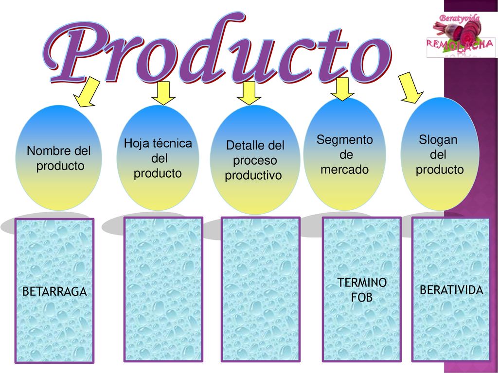 Producto Segmento de mercado Slogan del producto Nombre del producto