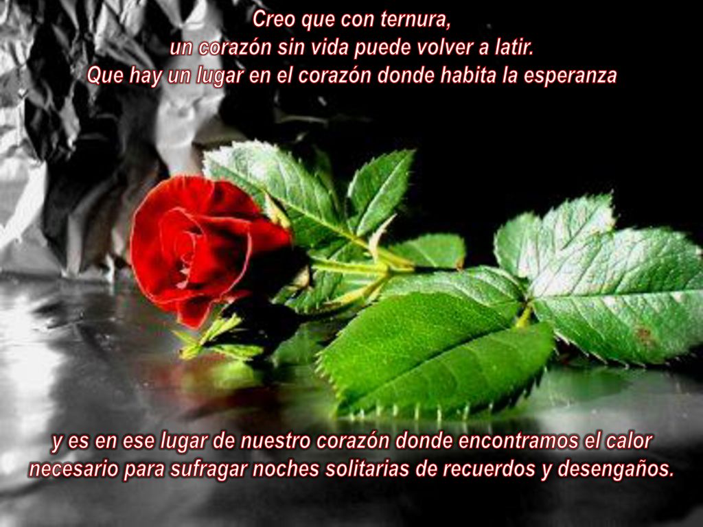un corazón sin vida puede volver a latir.