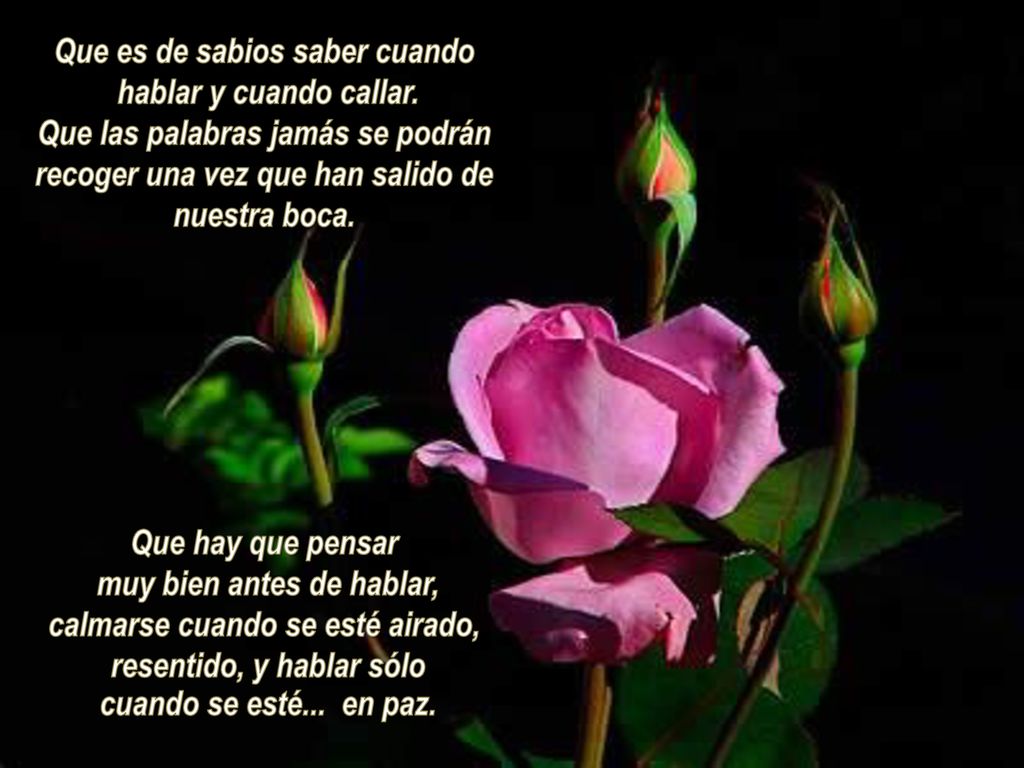 Que es de sabios saber cuando hablar y cuando callar.
