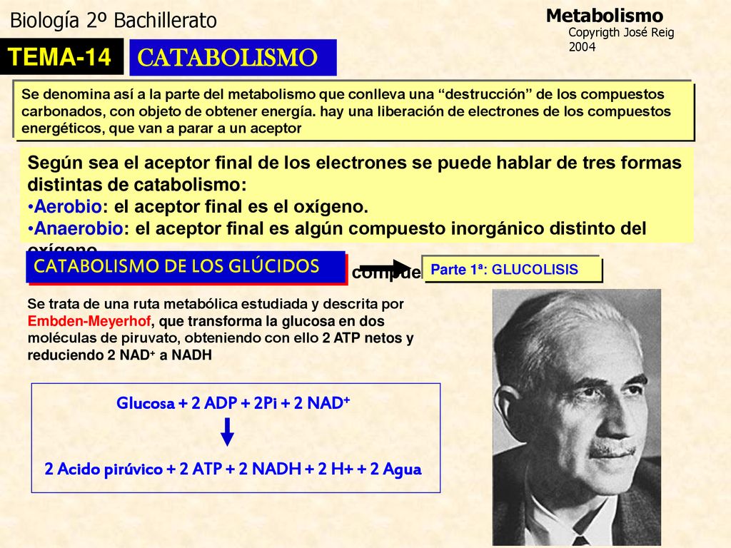 2 Acido pirúvico + 2 ATP + 2 NADH + 2 H+ + 2 Agua