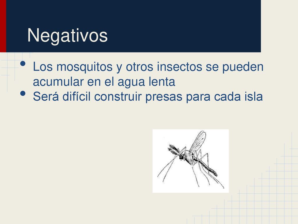 Negativos Los mosquitos y otros insectos se pueden acumular en el agua lenta. Será difícil construir presas para cada isla.