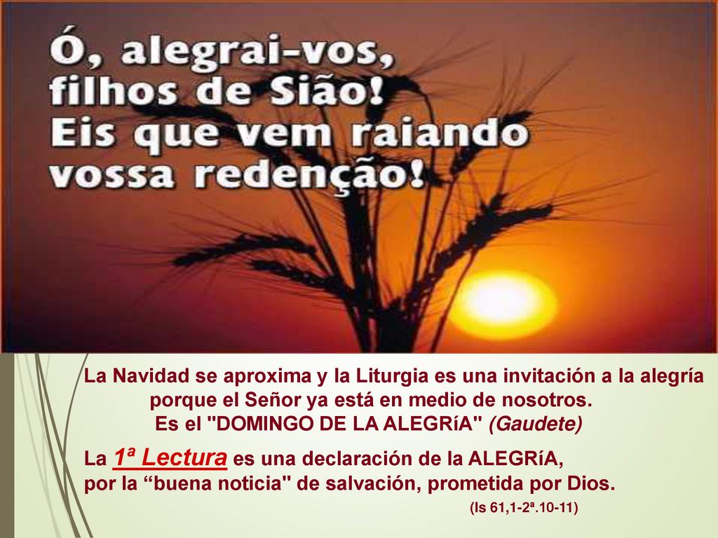 La Navidad se aproxima y la Liturgia es una invitación a la alegría