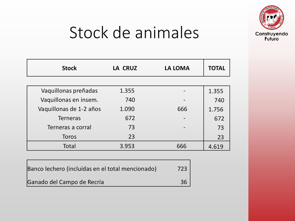 Stock de animales Stock LA CRUZ LA LOMA TOTAL Vaquillonas preñadas