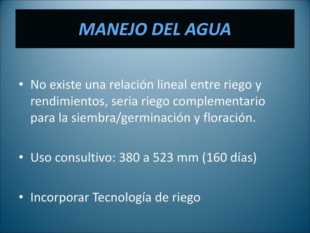 MANEJO DEL AGUA No existe una relación lineal entre riego y rendimientos, seria riego complementario para la siembra/germinación y floración.