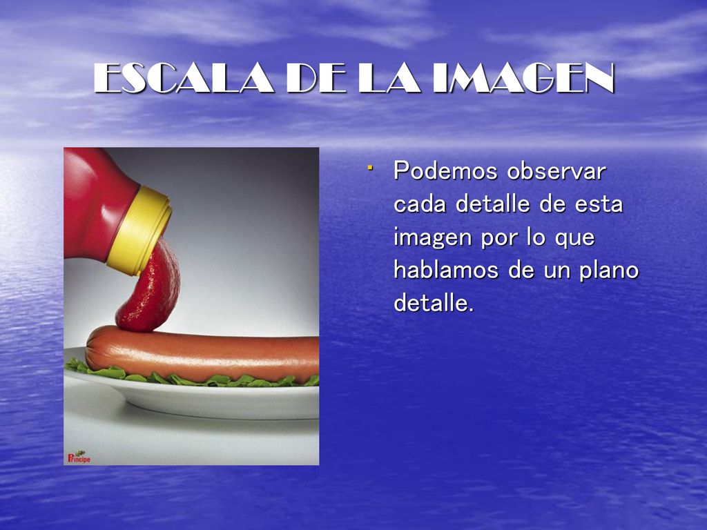 ESCALA DE LA IMAGEN Podemos observar cada detalle de esta imagen por lo que hablamos de un plano detalle.