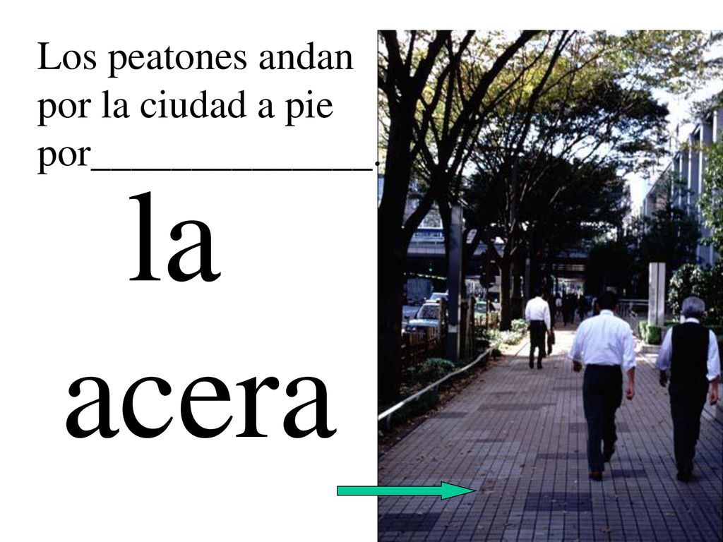Los peatones andan por la ciudad a pie por______________. la acera
