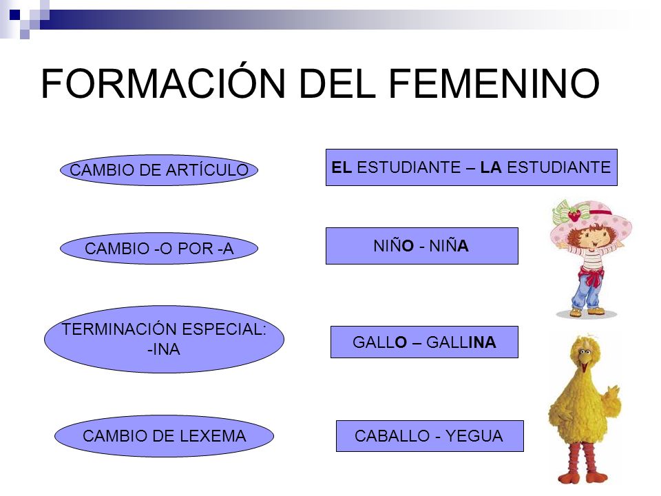 FORMACIÓN DEL FEMENINO