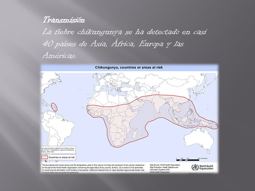 Transmisión La fiebre chikungunya se ha detectado en casi 40 países de Asia, África, Europa y las Américas.