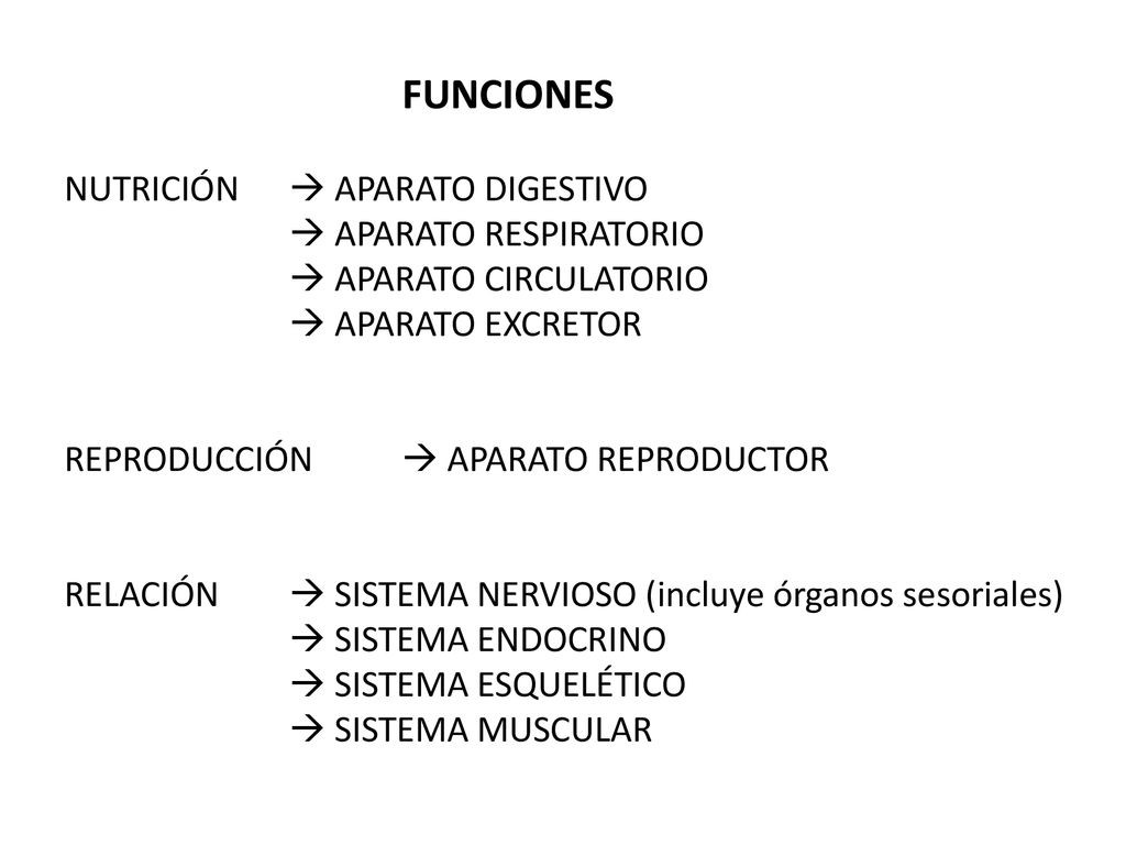 FUNCIONES NUTRICIÓN  APARATO DIGESTIVO.  APARATO RESPIRATORIO.  APARATO CIRCULATORIO.  APARATO EXCRETOR.
