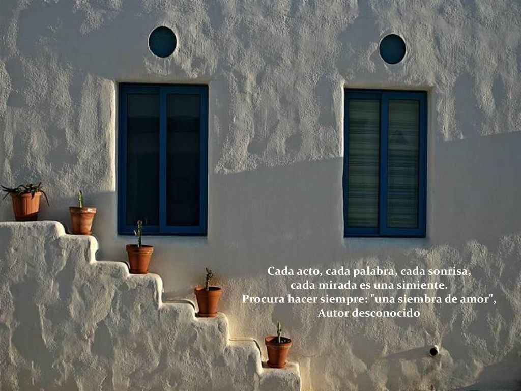 Cada acto, cada palabra, cada sonrisa, cada mirada es una simiente.