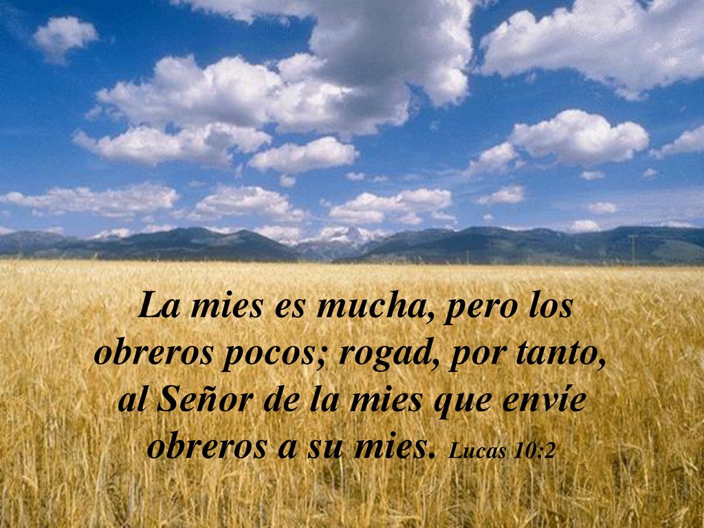 La mies es mucha, pero los obreros pocos; rogad, por tanto, al Señor de la mies que envíe obreros a su mies.