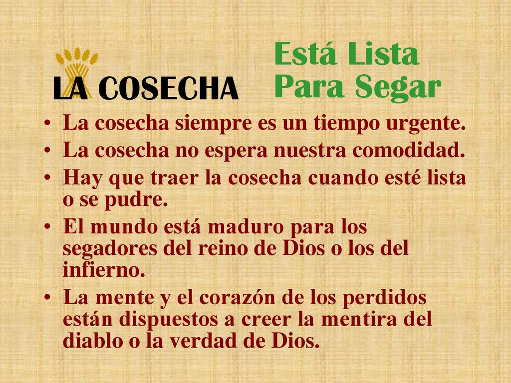 Está Lista Para Segar LA COSECHA