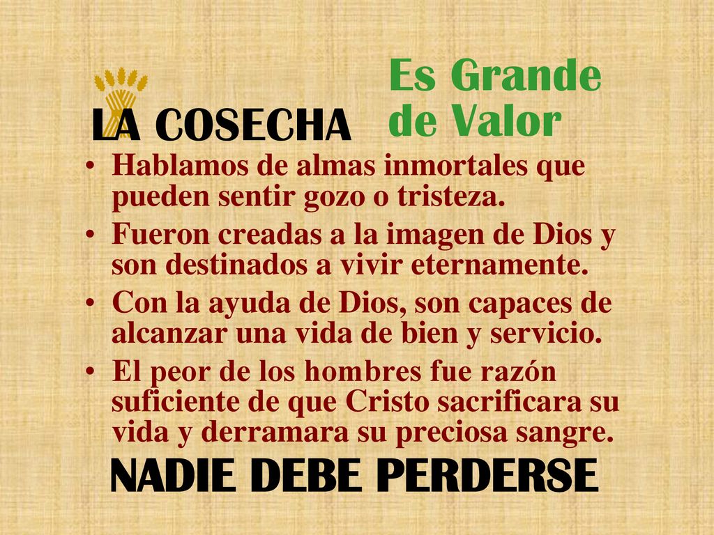 Es Grande de Valor LA COSECHA NADIE DEBE PERDERSE