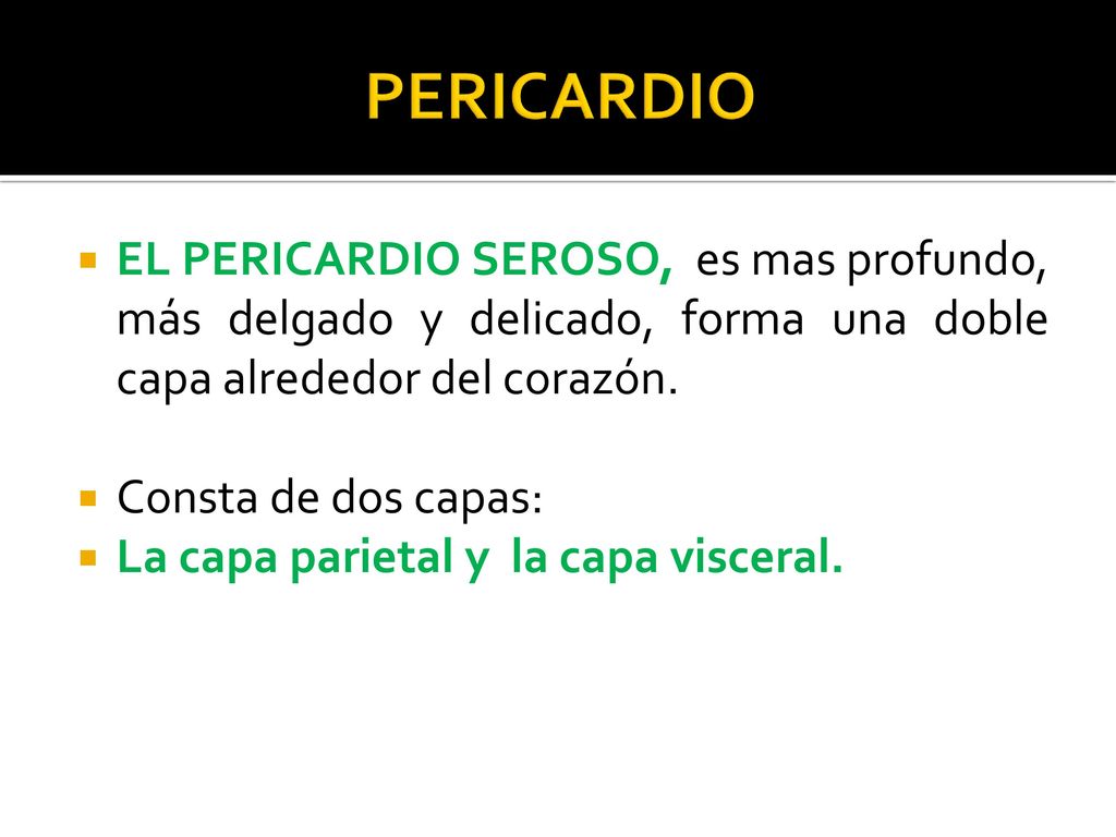 PERICARDIO EL PERICARDIO SEROSO, es mas profundo, más delgado y delicado, forma una doble capa alrededor del corazón.
