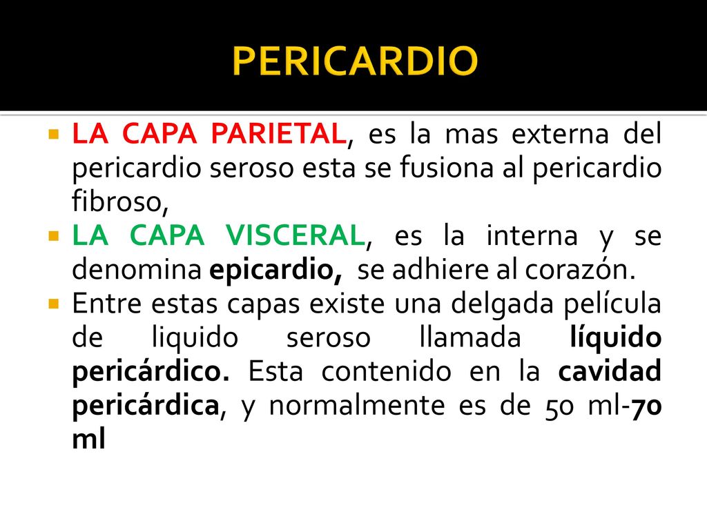 PERICARDIO LA CAPA PARIETAL, es la mas externa del pericardio seroso esta se fusiona al pericardio fibroso,