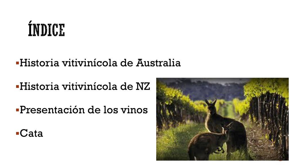 índice Historia vitivinícola de Australia Historia vitivinícola de NZ