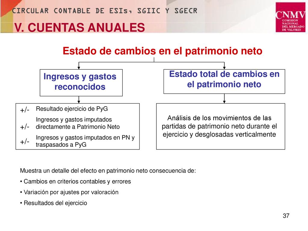 V. CUENTAS ANUALES Estado de cambios en el patrimonio neto