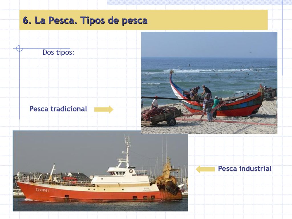 6. La Pesca. Tipos de pesca Dos tipos: Pesca tradicional