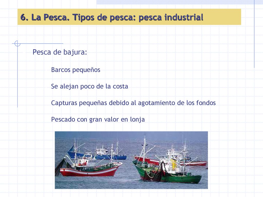 6. La Pesca. Tipos de pesca: pesca industrial