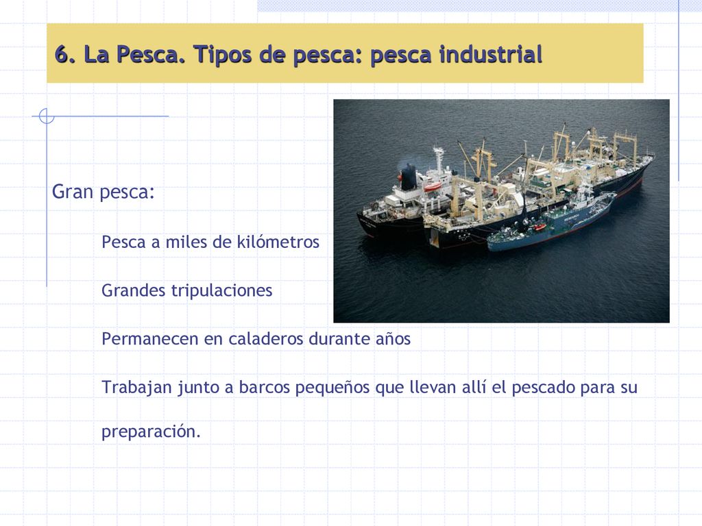 6. La Pesca. Tipos de pesca: pesca industrial
