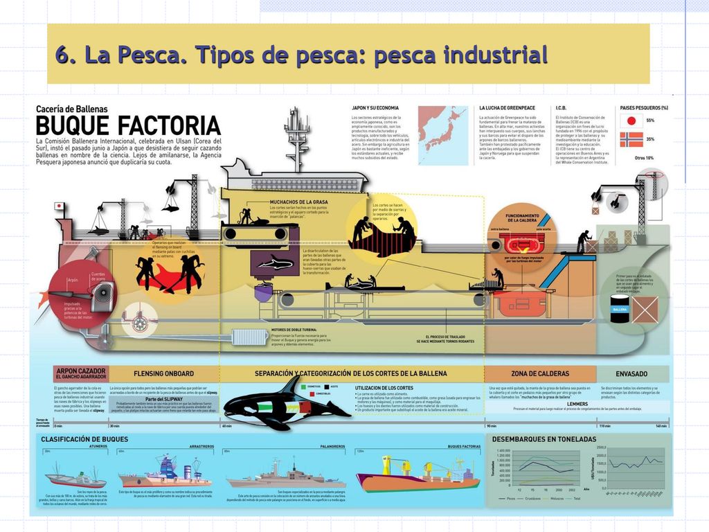 6. La Pesca. Tipos de pesca: pesca industrial