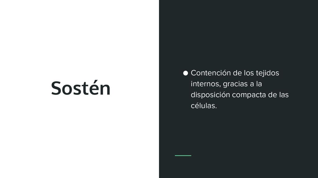 Contención de los tejidos internos, gracias a la disposición compacta de las células.