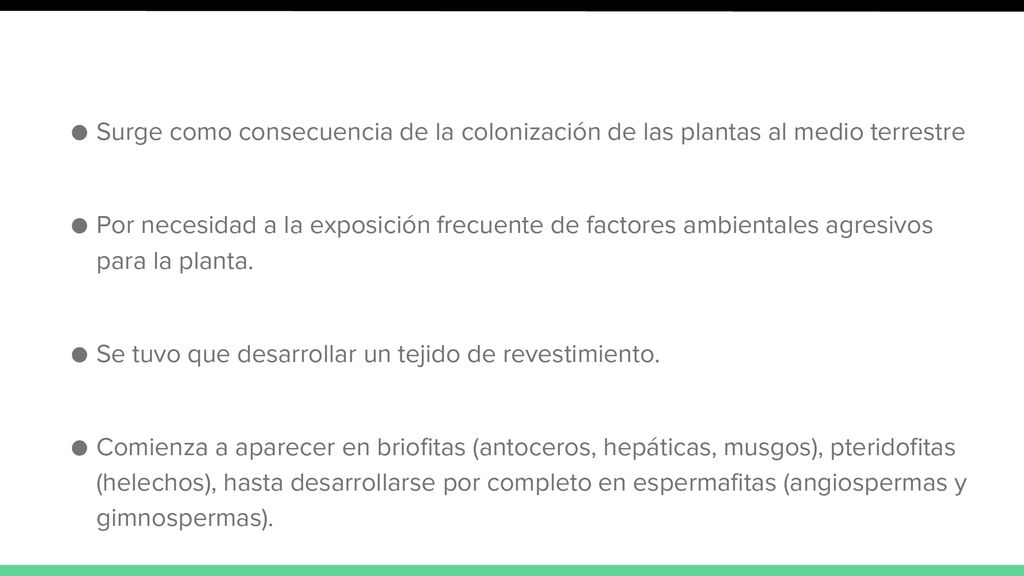 Surge como consecuencia de la colonización de las plantas al medio terrestre
