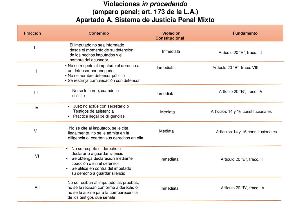 Violaciones in procedendo (amparo penal; art. 173 de la L.A.)