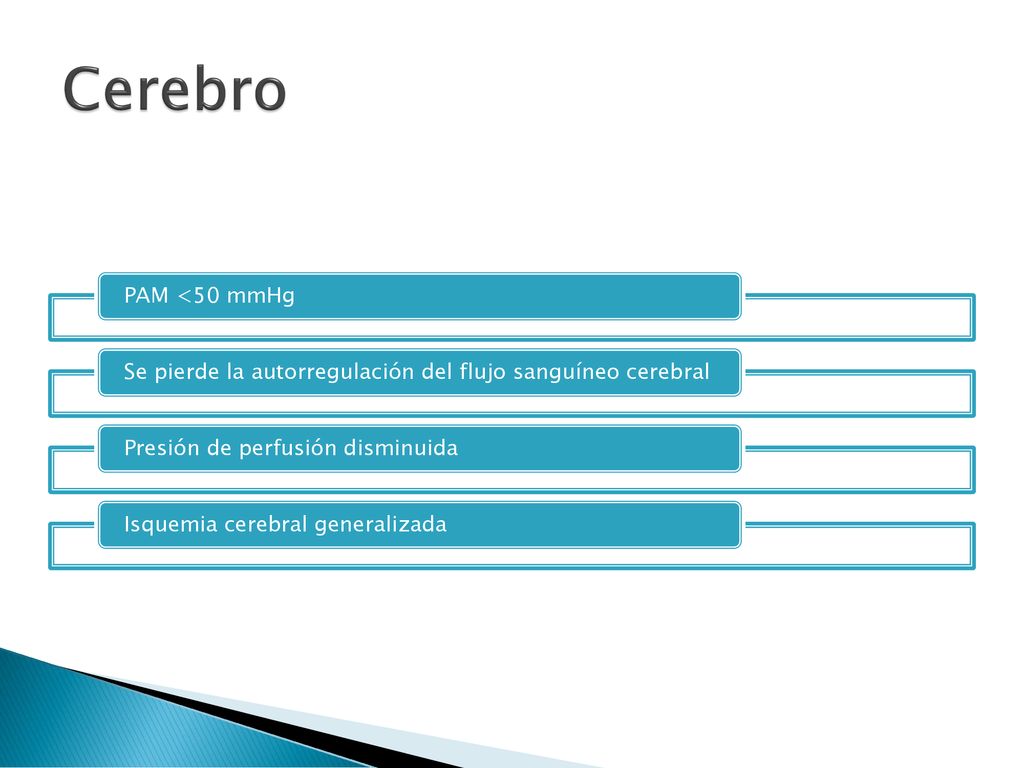 Cerebro PAM <50 mmHg. Se pierde la autorregulación del flujo sanguíneo cerebral. Presión de perfusión disminuida.