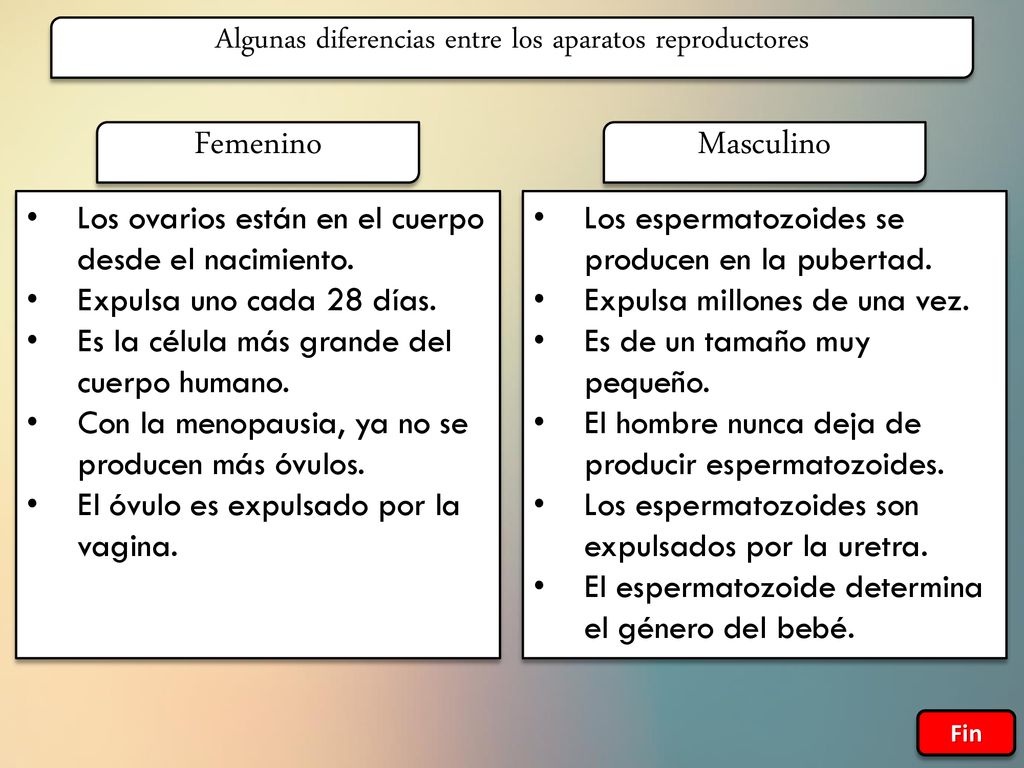 Algunas diferencias entre los aparatos reproductores