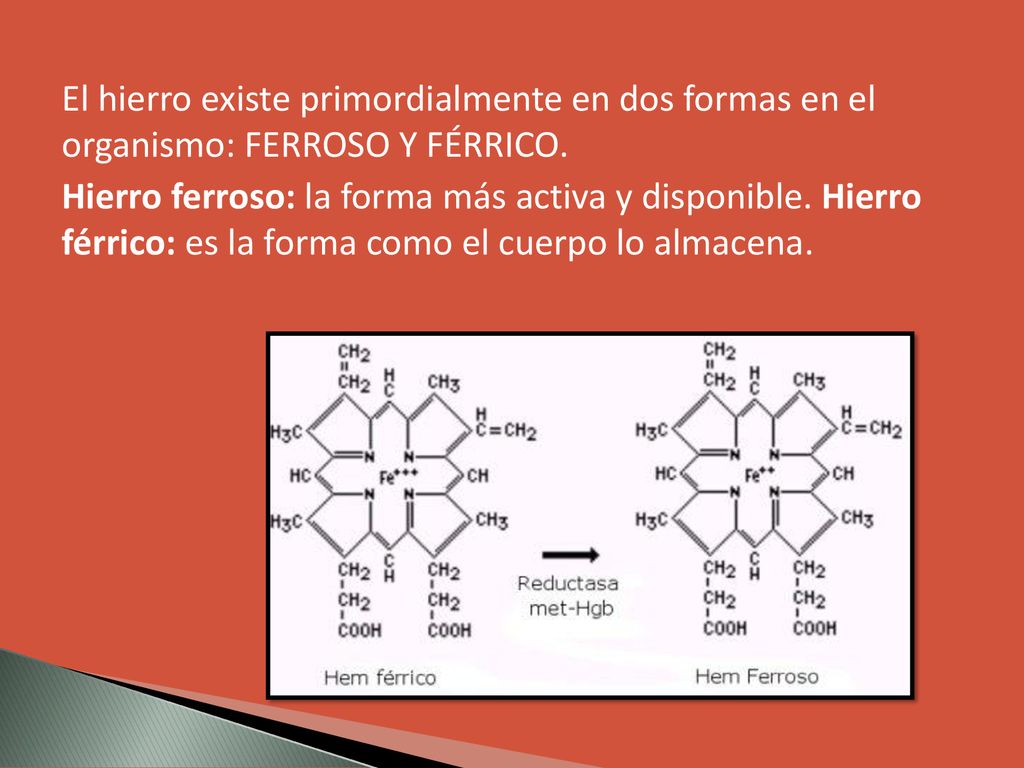 El hierro existe primordialmente en dos formas en el organismo: FERROSO Y FÉRRICO.