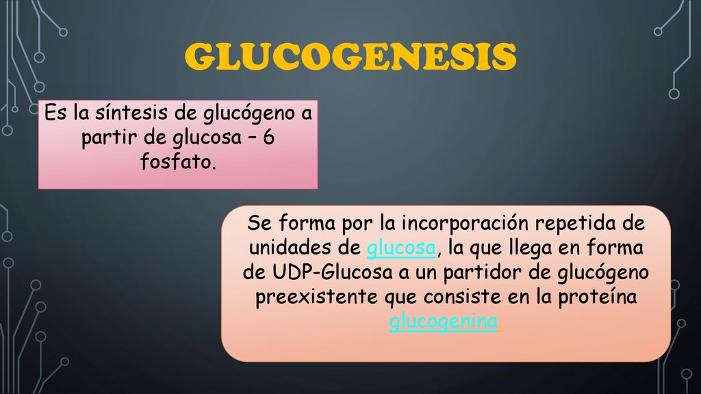Es la síntesis de glucógeno a partir de glucosa – 6 fosfato.
