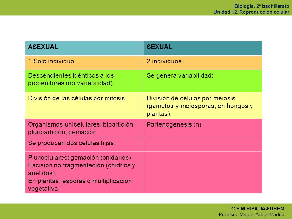 ASEXUAL SEXUAL. 1 Solo individuo. 2 individuos. Descendientes idénticos a los progenitores (no variabilidad)