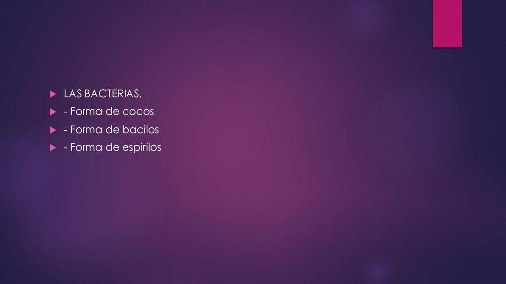 LAS BACTERIAS. - Forma de cocos - Forma de bacilos - Forma de espirílos