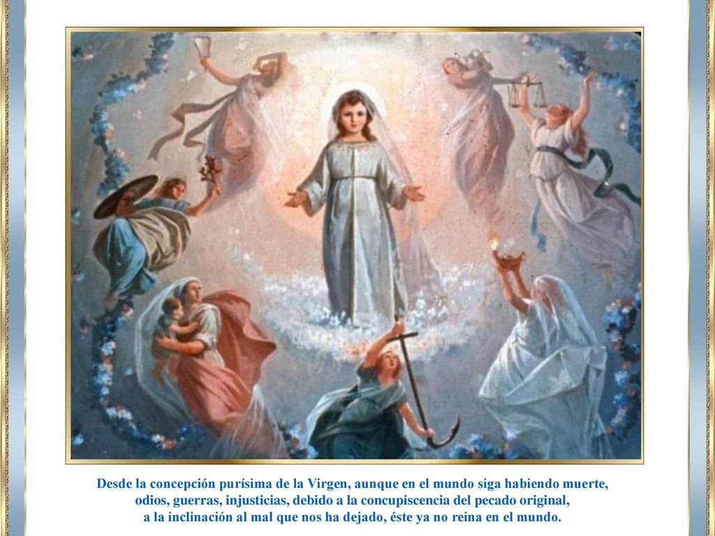 Desde la concepción purísima de la Virgen, aunque en el mundo siga habiendo muerte,