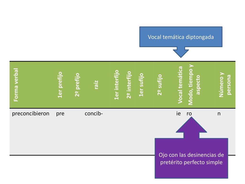Vocal temática diptongada Forma verbal 1er prefijo 2º prefijo raíz