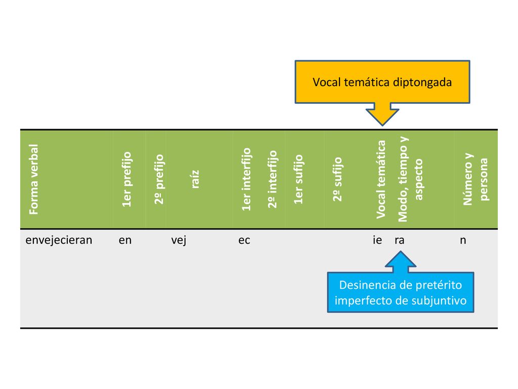 Vocal temática diptongada Forma verbal 1er prefijo 2º prefijo raíz