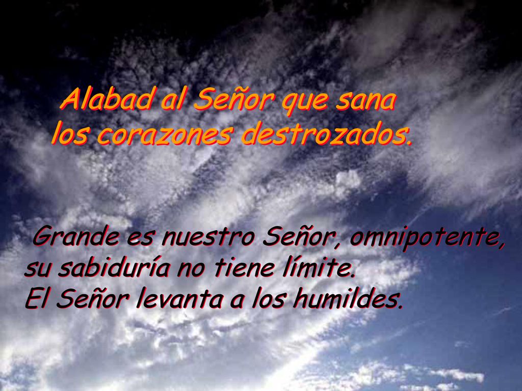 Alabad al Señor que sana los corazones destrozados.