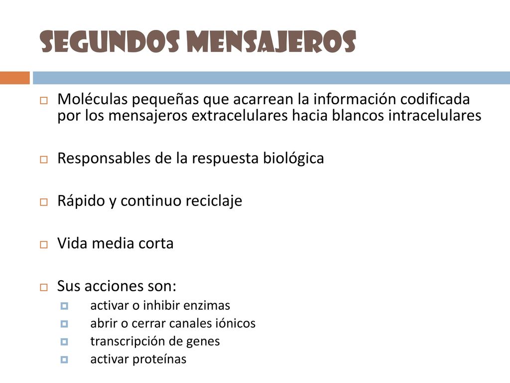 Segundos mensajeros Moléculas pequeñas que acarrean la información codificada por los mensajeros extracelulares hacia blancos intracelulares.