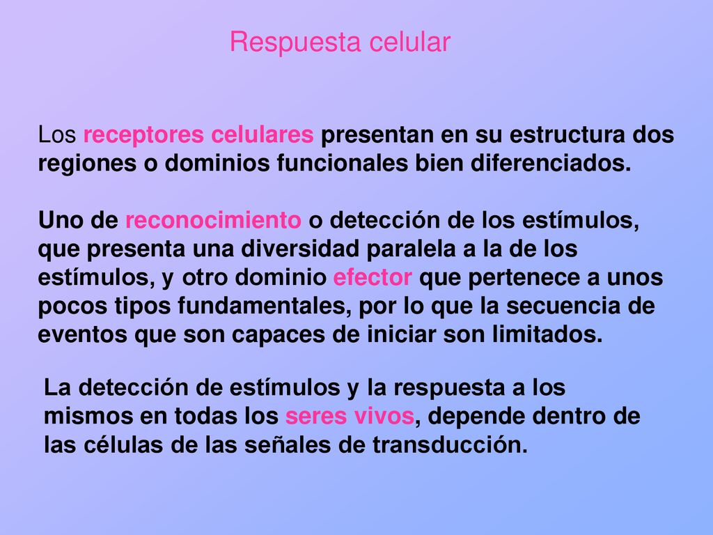 Respuesta celular Los receptores celulares presentan en su estructura dos regiones o dominios funcionales bien diferenciados.