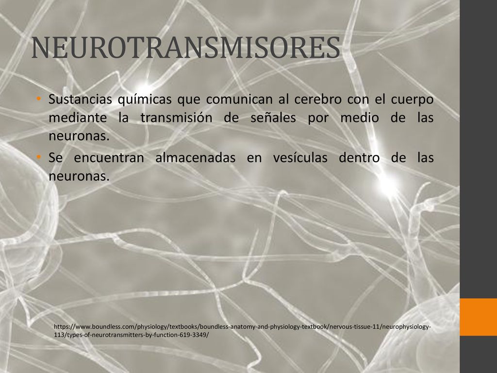 NEUROTRANSMISORES Sustancias químicas que comunican al cerebro con el cuerpo mediante la transmisión de señales por medio de las neuronas.