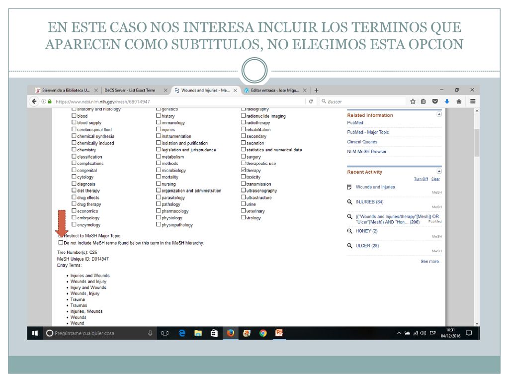 EN ESTE CASO NOS INTERESA INCLUIR LOS TERMINOS QUE APARECEN COMO SUBTITULOS, NO ELEGIMOS ESTA OPCION