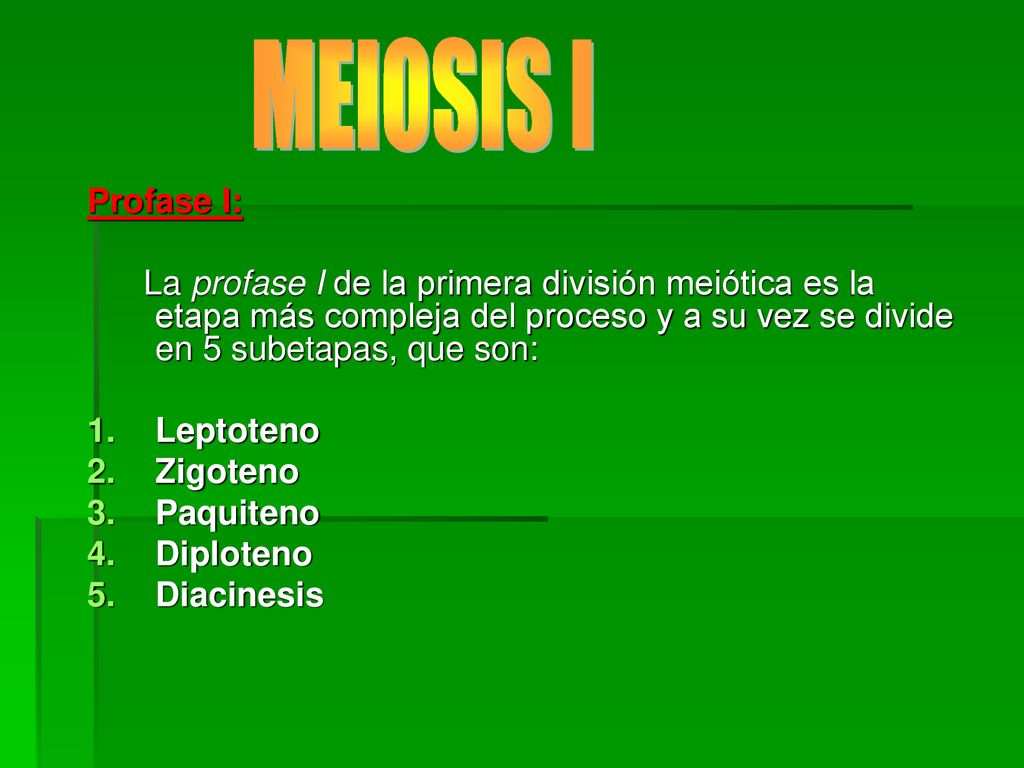 MEIOSIS I Profase I: La profase I de la primera división meiótica es la etapa más compleja del proceso y a su vez se divide en 5 subetapas, que son: