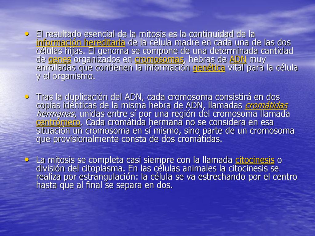El resultado esencial de la mitosis es la continuidad de la información hereditaria de la célula madre en cada una de las dos células hijas. El genoma se compone de una determinada cantidad de genes organizados en cromosomas, hebras de ADN muy enrolladas que contienen la información genética vital para la célula y el organismo.
