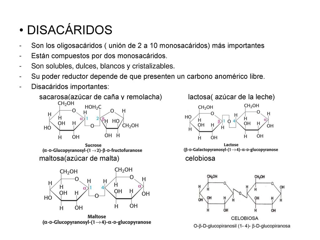 DISACÁRIDOS Son los oligosacáridos ( unión de 2 a 10 monosacáridos) más importantes. Están compuestos por dos monosacáridos.